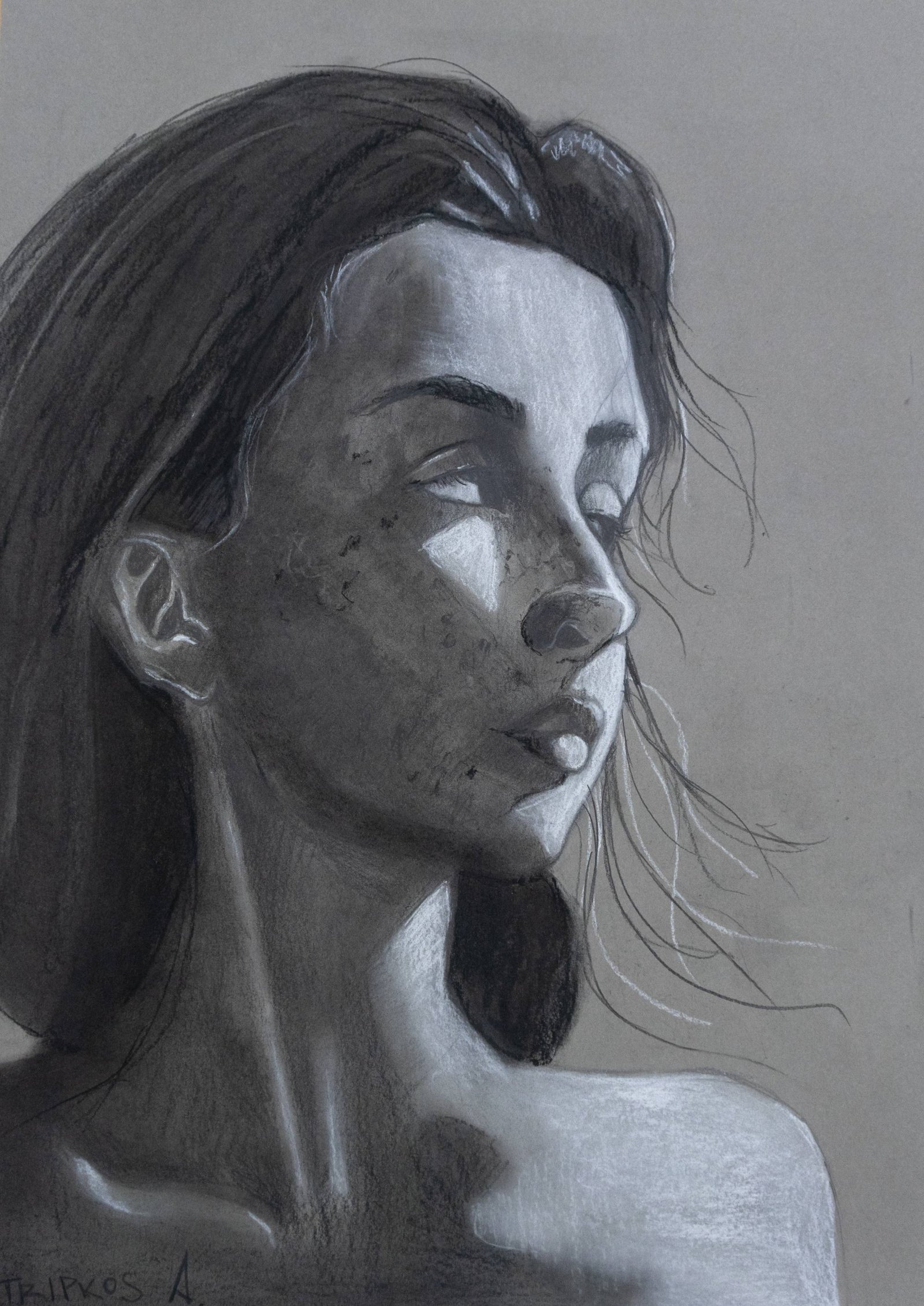 Oil and ink on canvas, 40cm x 50cm